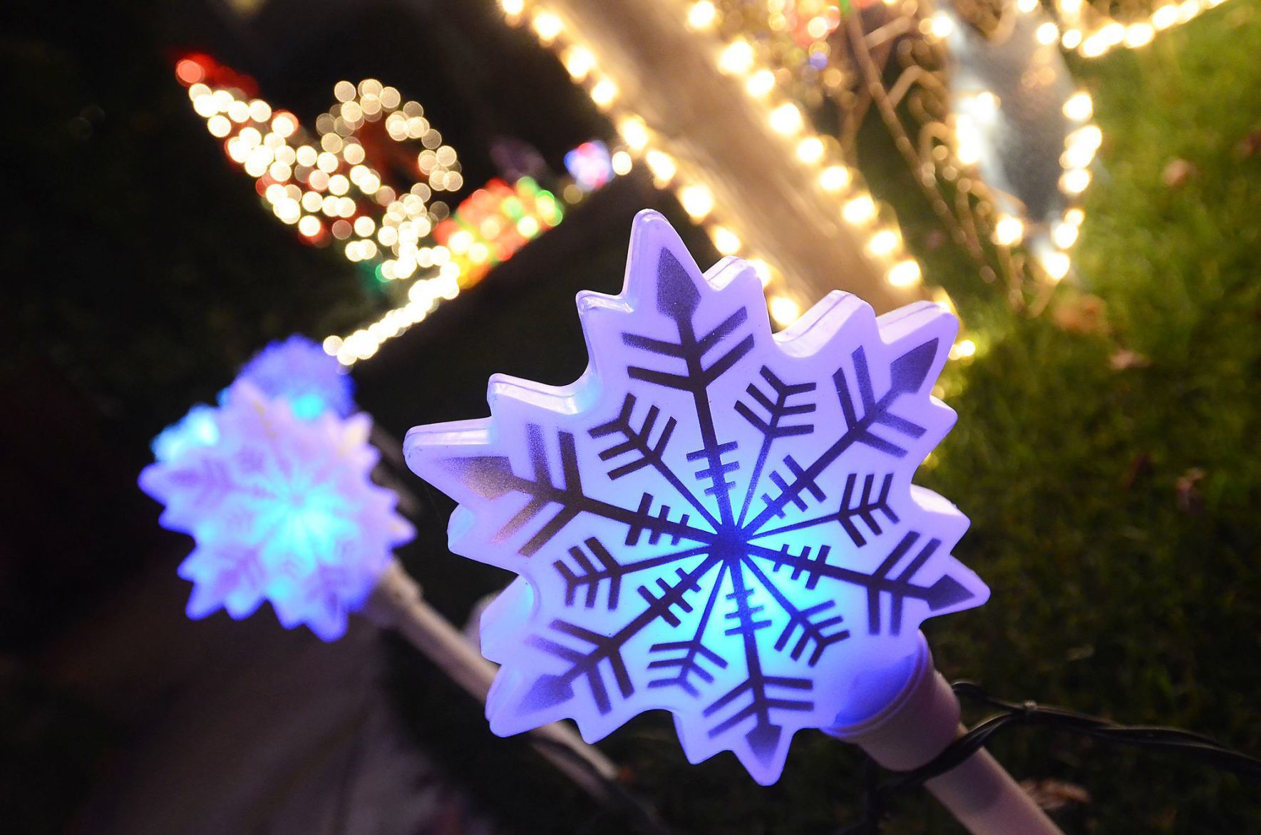Napa Christmas lights